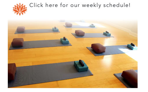 Click here for Yoga by the Sea classes with Casey Gash BFA E-RYT